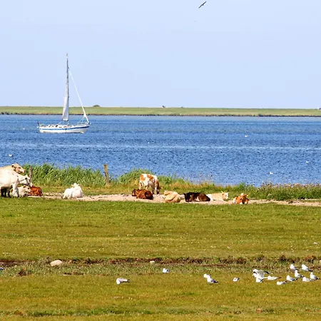 Ferienhaus Kogge Olpenitz